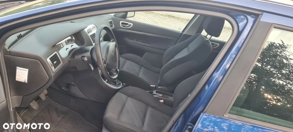 Peugeot 307 110 Premium - 39