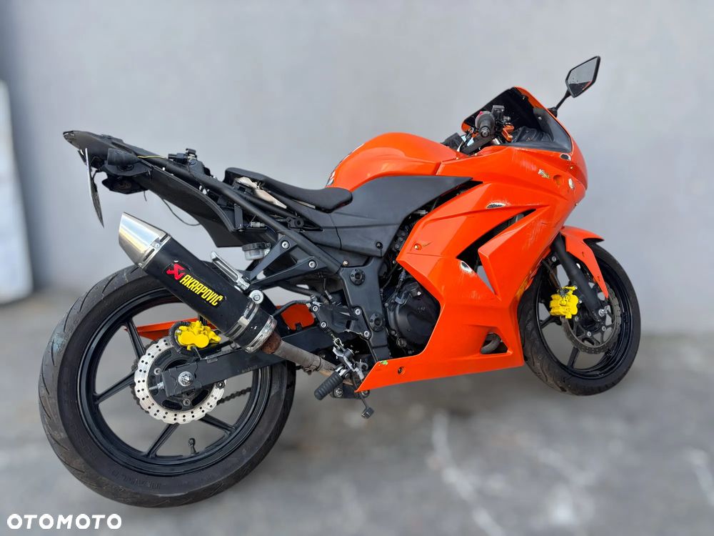 Kawasaki Ninja 250R - 3