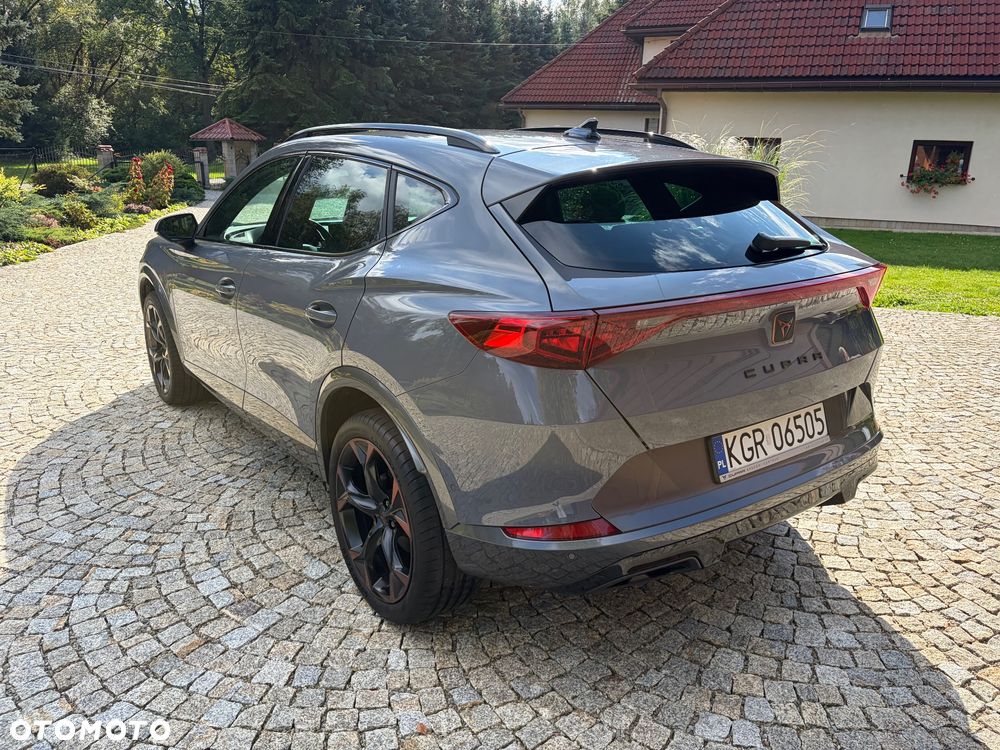Cupra Formentor 2.0 TSI 4Drive DSG - 10