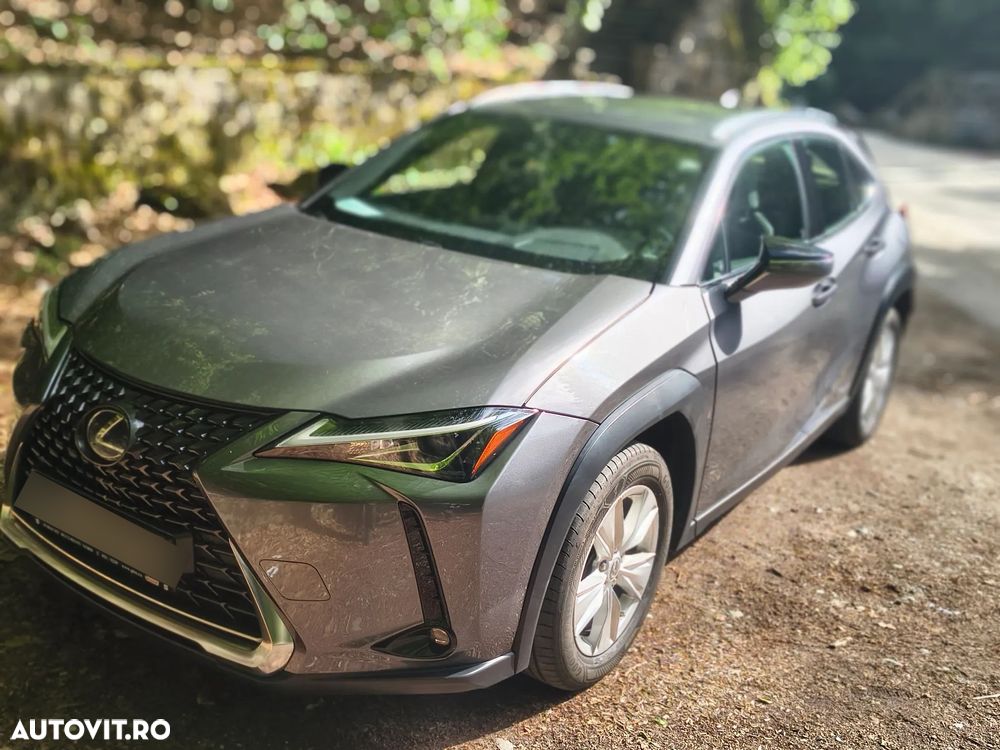 Lexus UX 250h FWD Business - 22