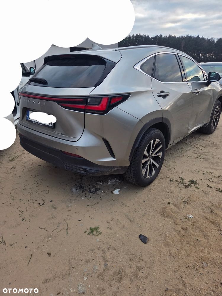 Lexus NX 350h Prestige 2WD - 15