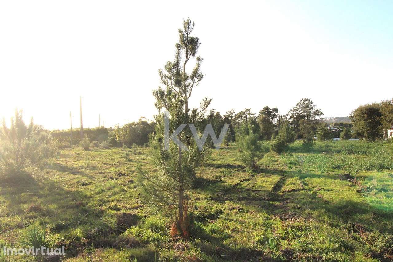Terreno com 6250m2 no Sobreiro de Mafra - Grande imagem: 4/27