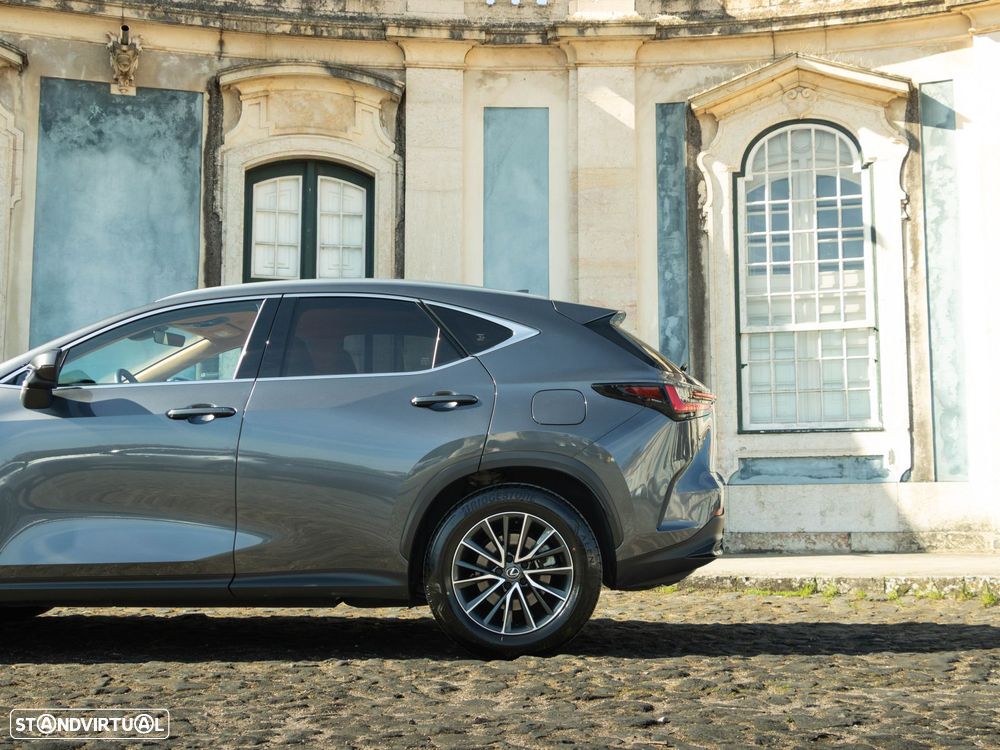 Lexus NX 450h+ - 22