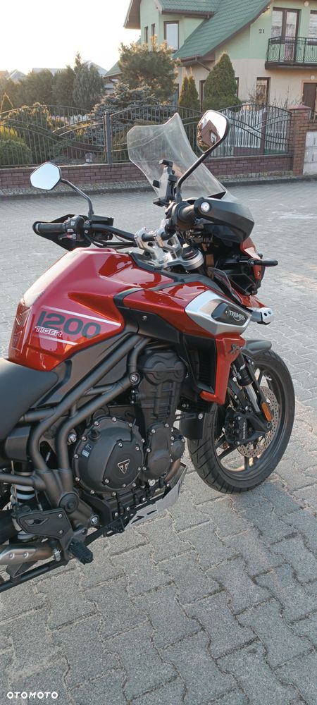 Triumph Tiger - 13