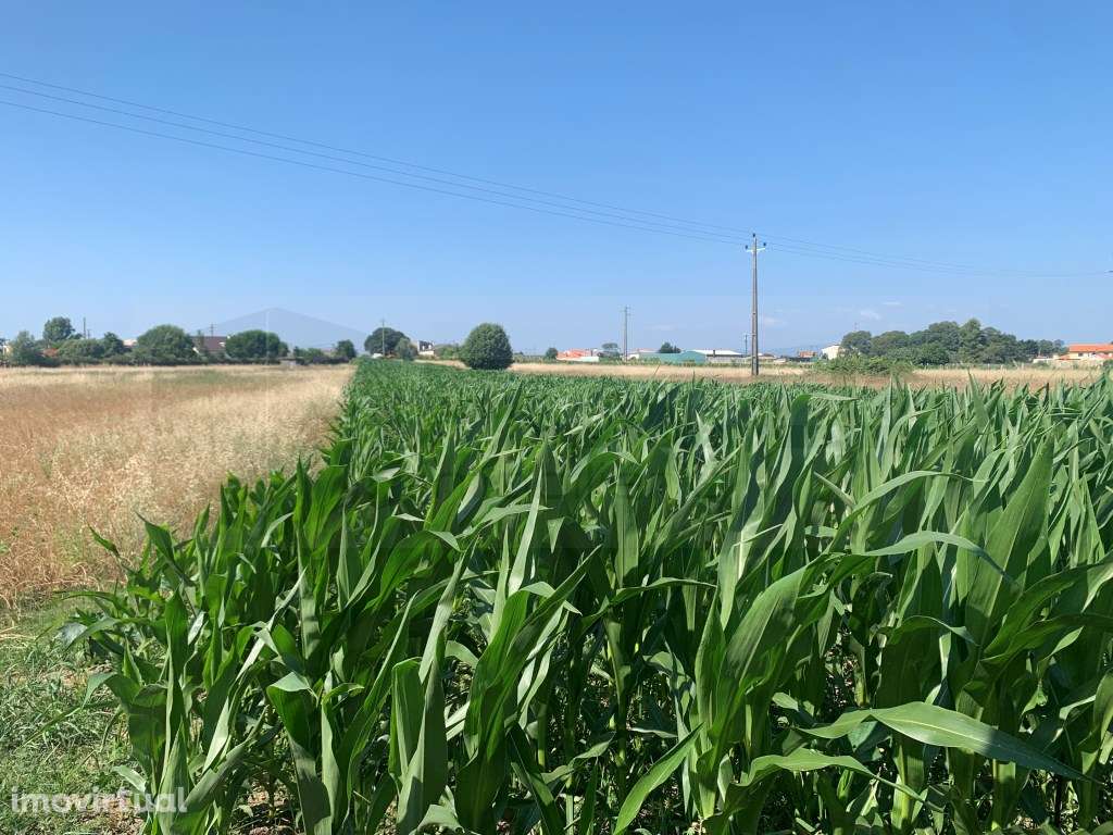 TERRENO C/ 18 METROS DE FRENTE - SANTA JOANA - Grande imagem: 2/6