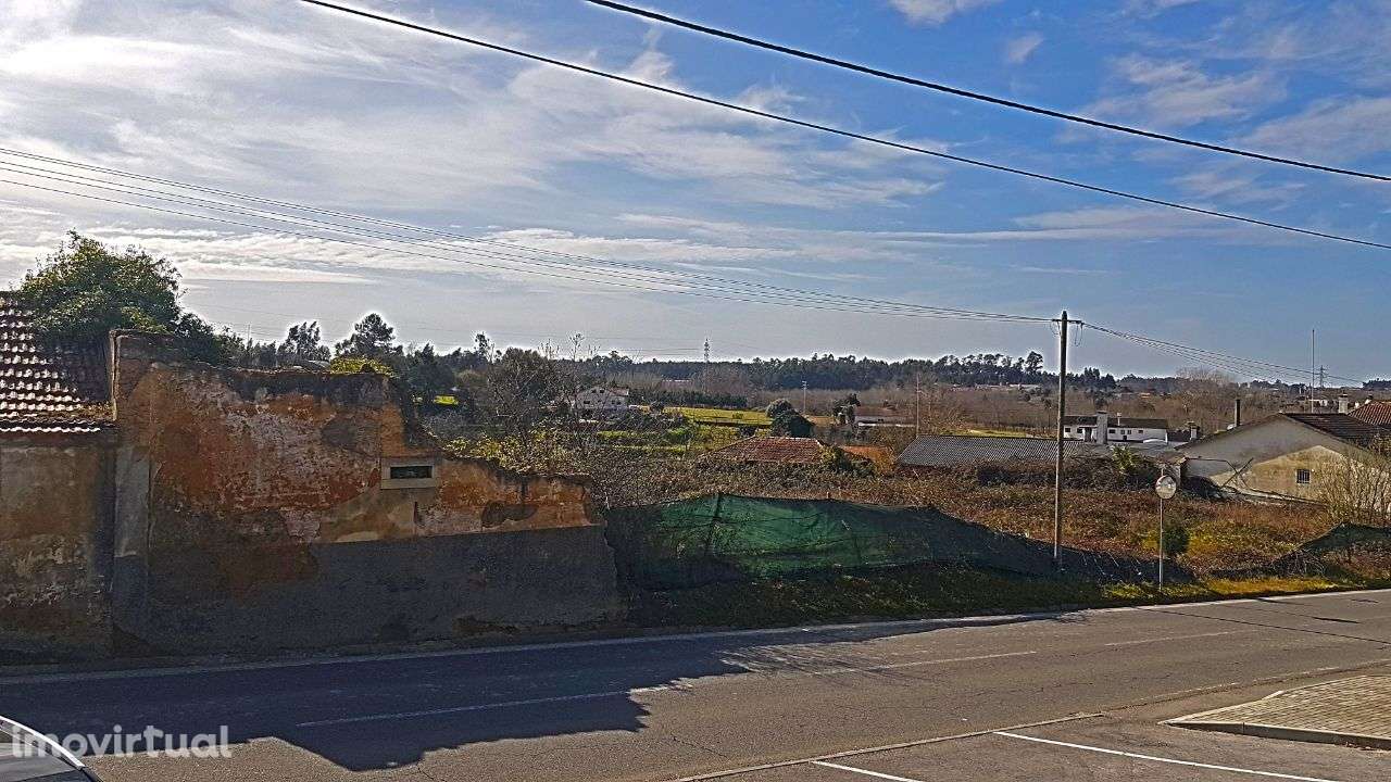 Quinta na Bairrada - Grande imagem: 2/22