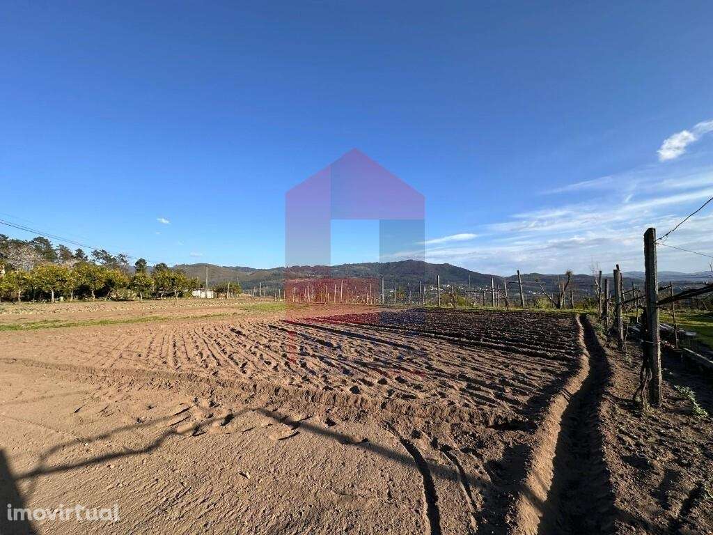 Terreno agrícola, Ponte - Grande imagem: 2/33