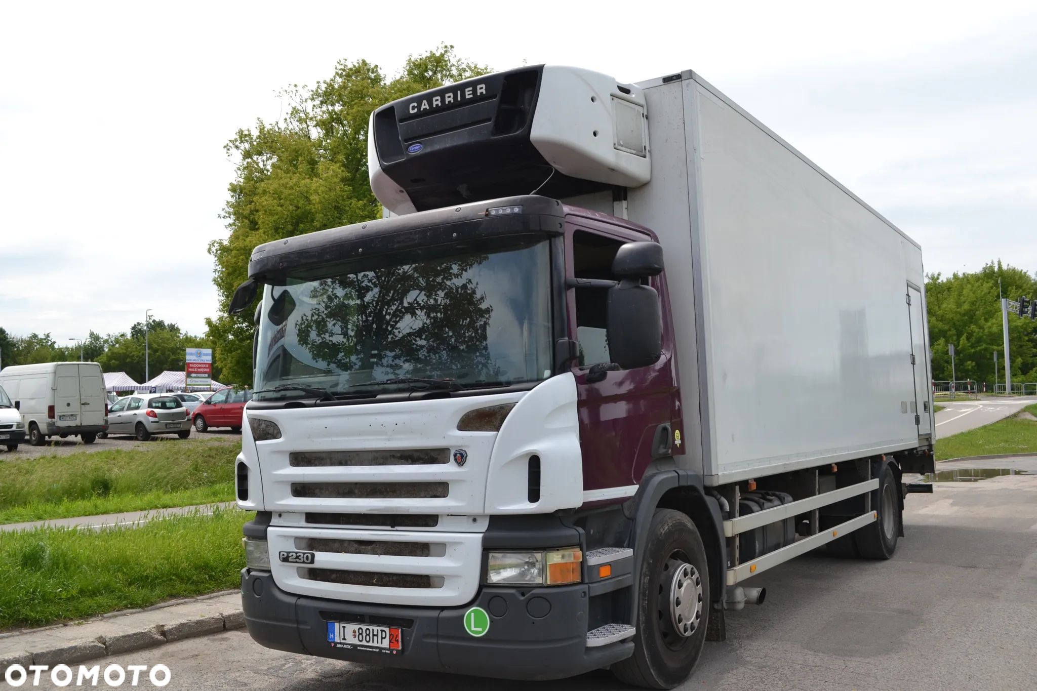 Scania CHŁODNIA SUPRA 955 MT WINDA 2 t - 1