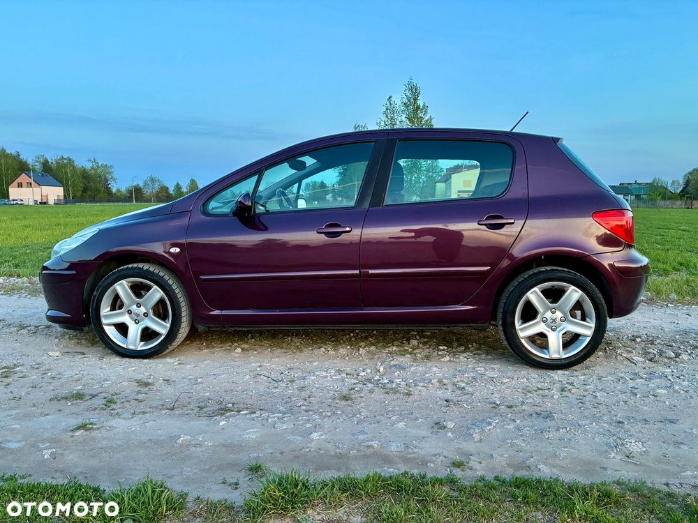 Peugeot 307 2.0 XT - 15