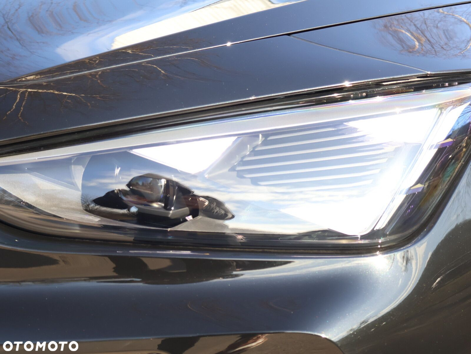 Cupra Formentor - 5