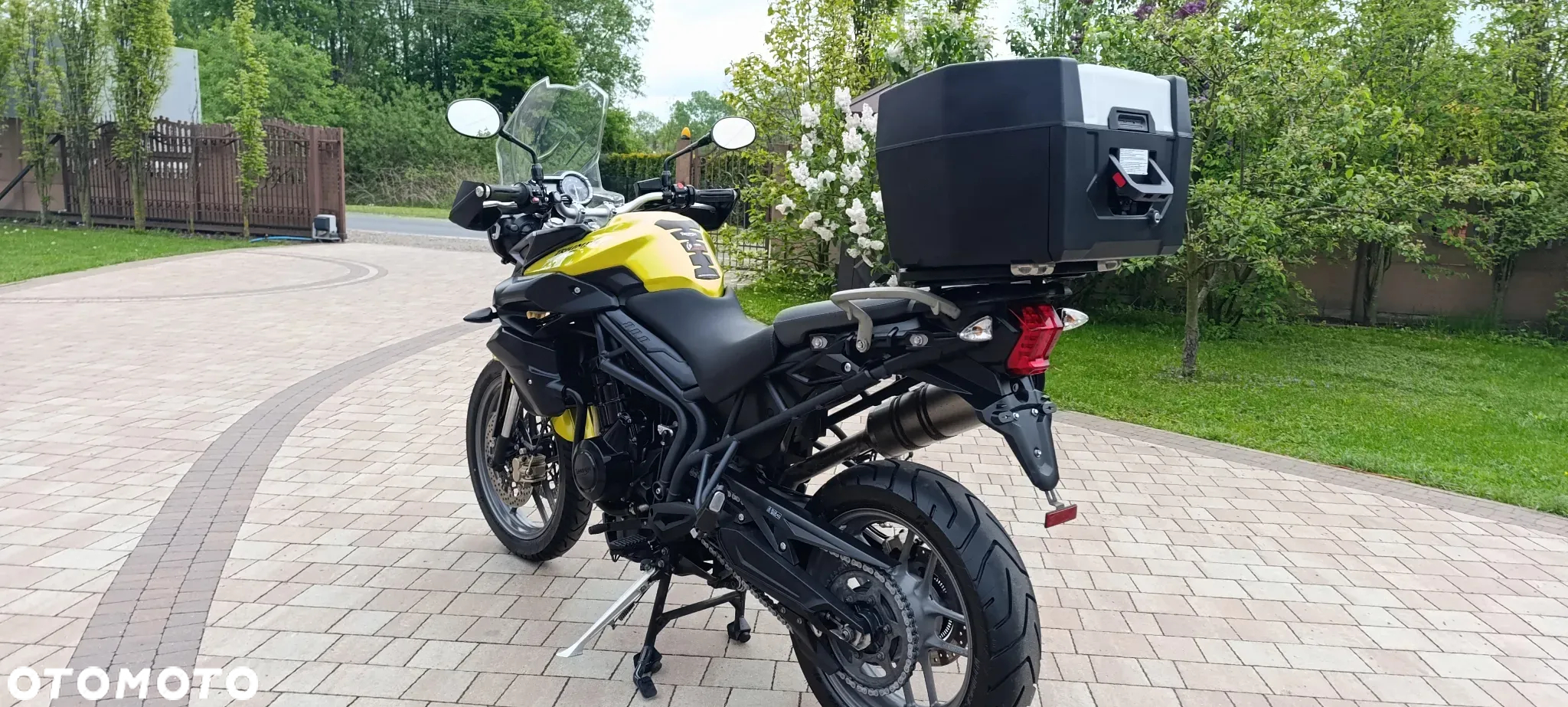 Triumph Tiger - 5