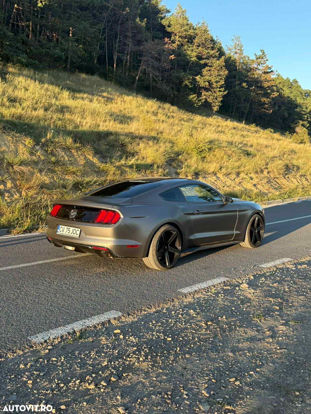 Ford Mustang - 15