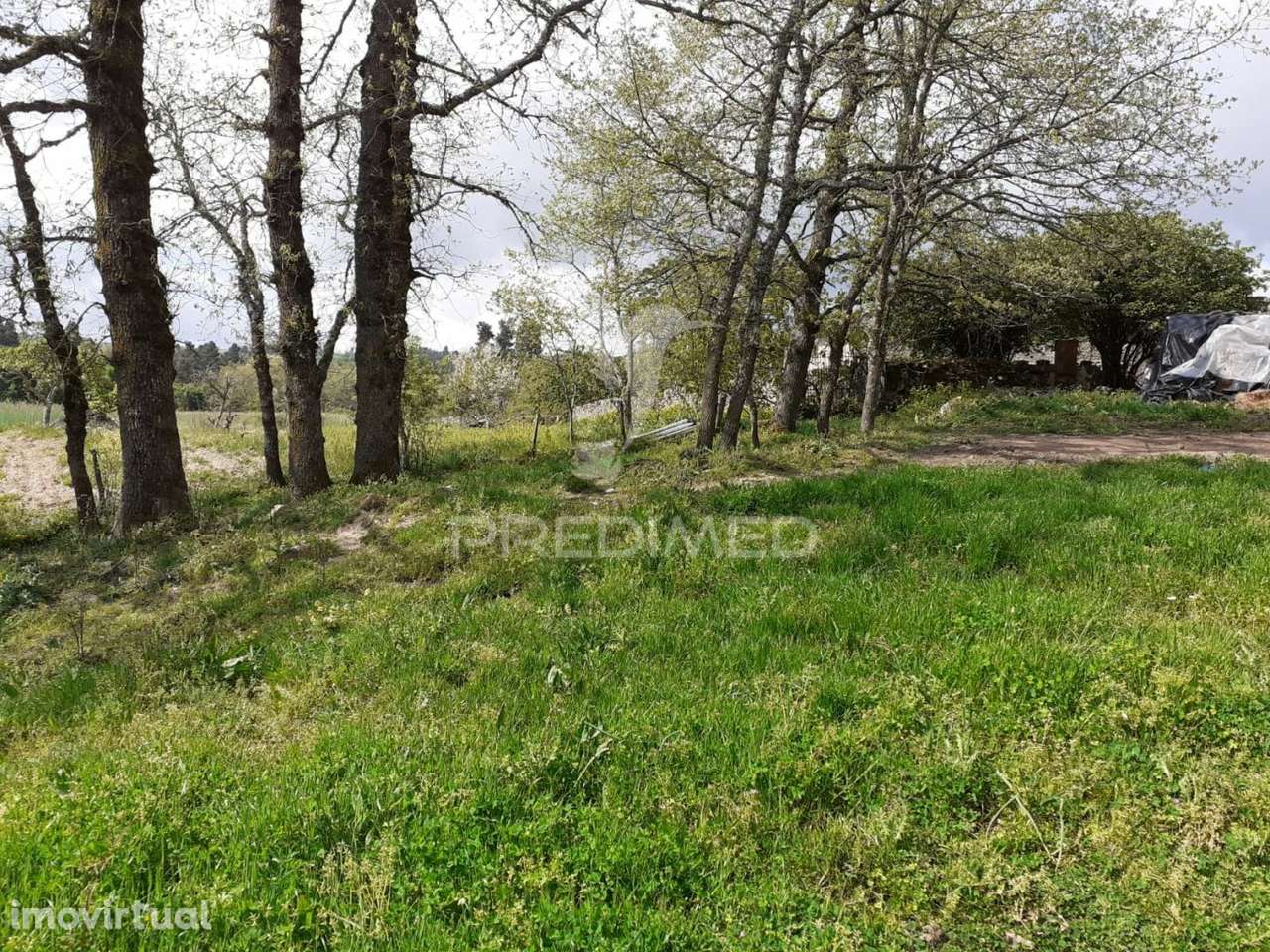 Quinta em local sossegado - Trancoso - Grande imagem: 4/14