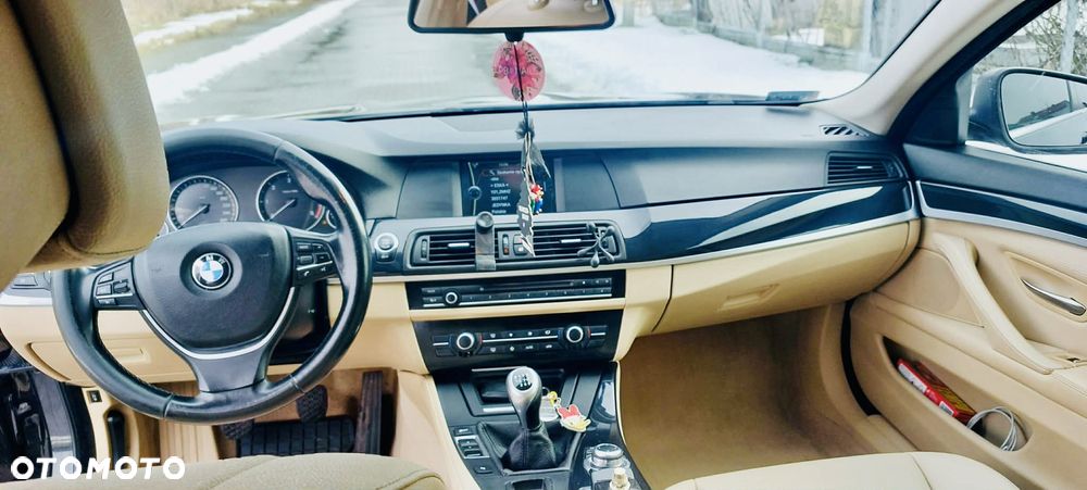 BMW Seria 5 520d Blue Performance - 10