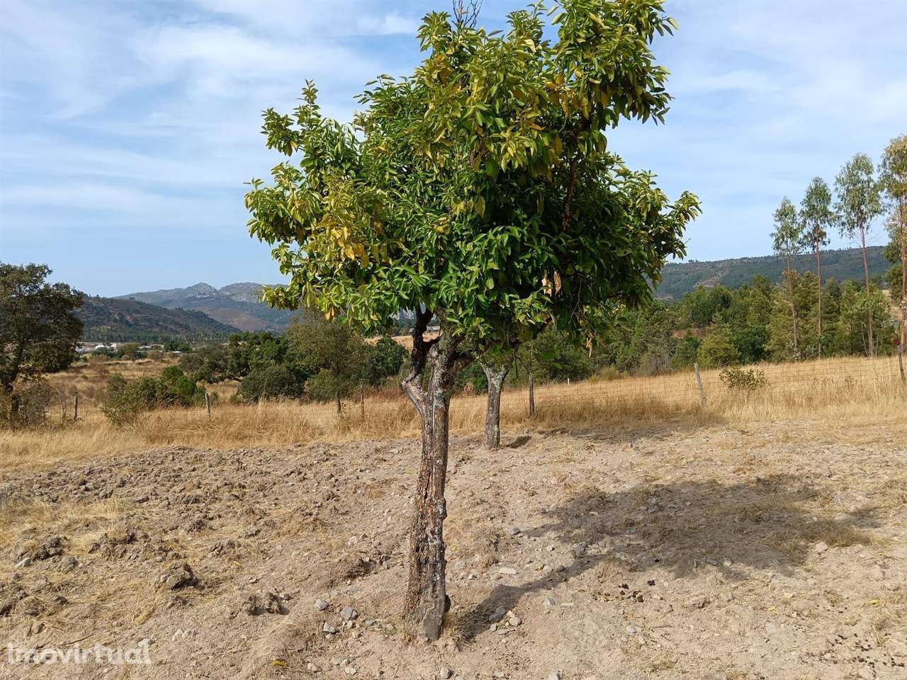 Terreno - Grande imagem: 3/8