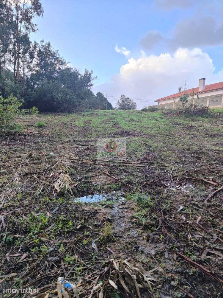 Terreno com viabilidade de construção em Malhapão - Grande imagem: 3/14