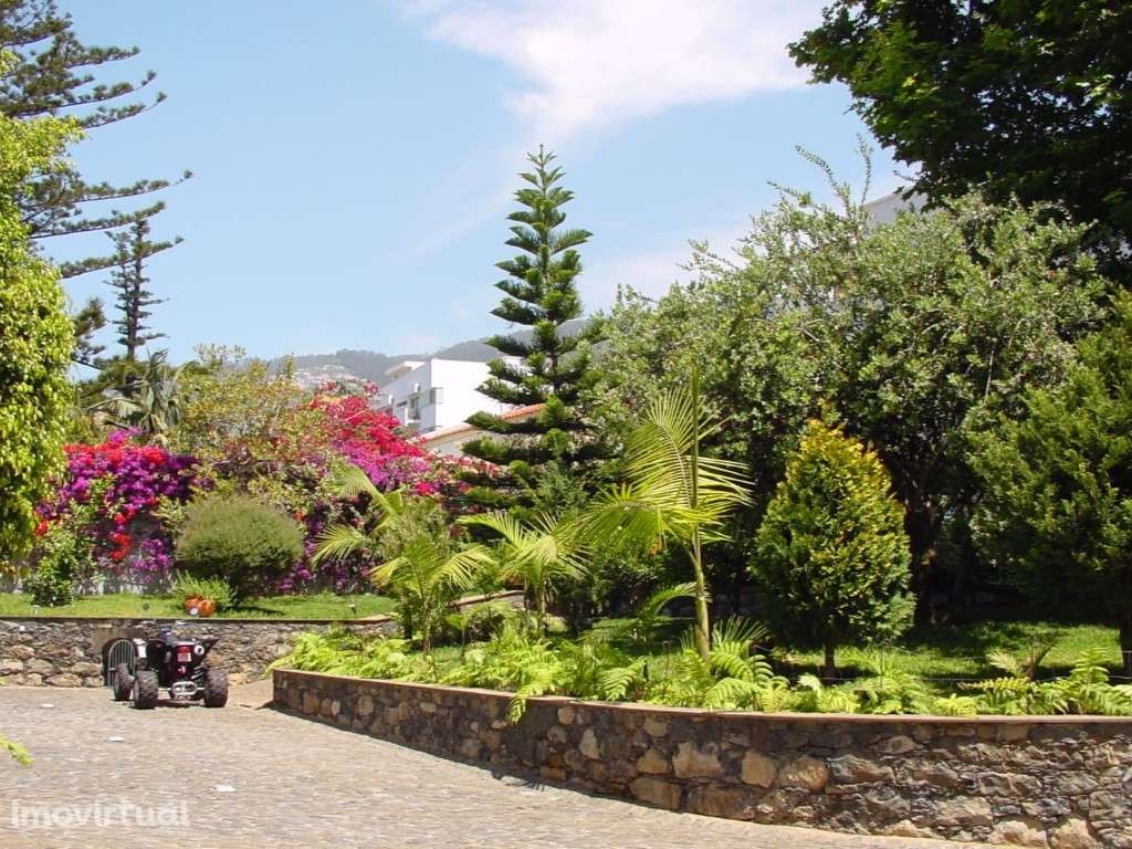 Quinta, Santo António - Grande imagem: 4/9