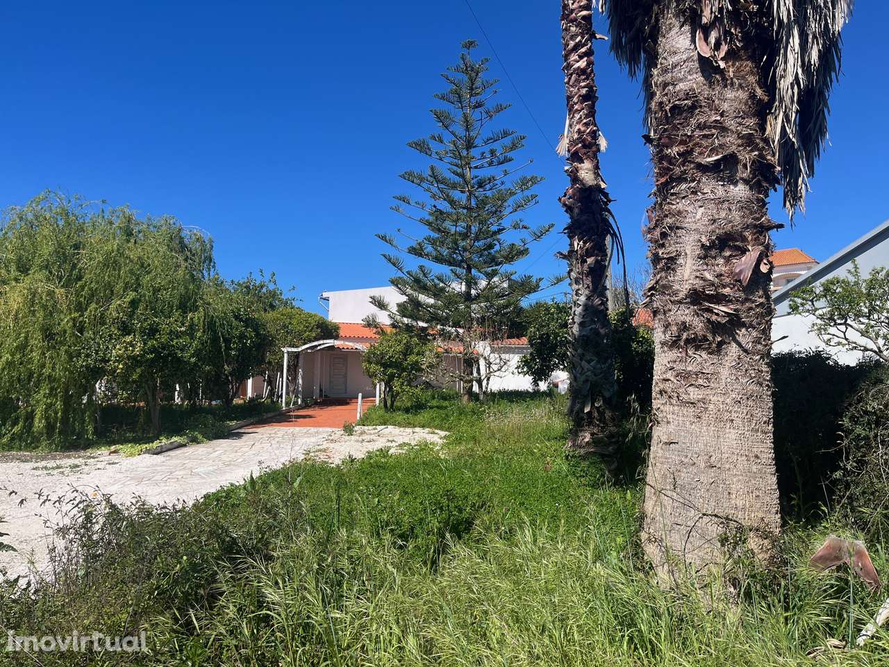 Edifício c/ Arrecadações e Arrumos c/Terreno de 2144 m² | Turcifal - Grande imagem: 2/19