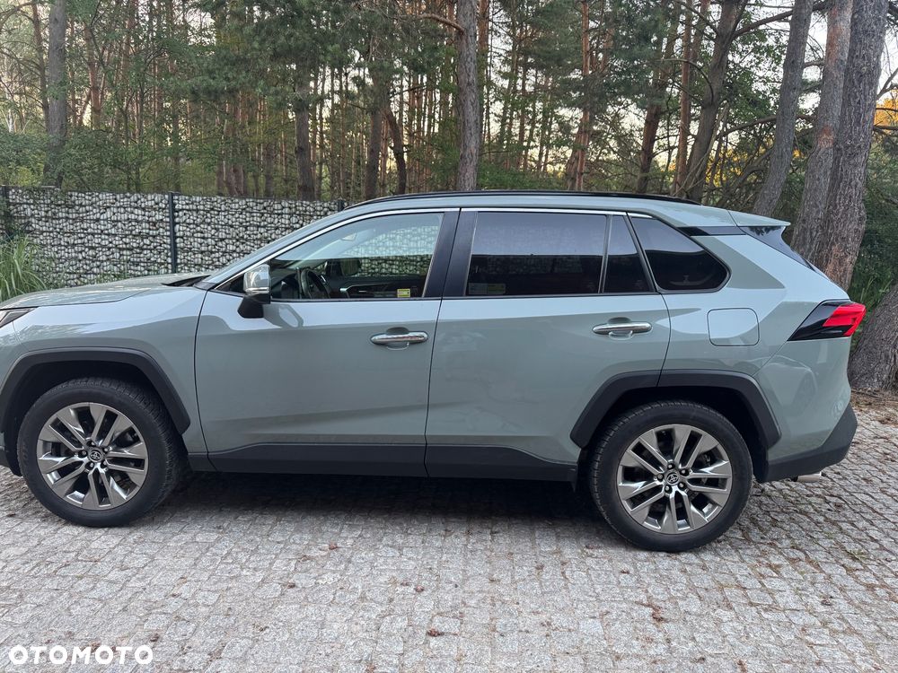 Toyota RAV4 2.5 Hybrid Executive 4x2 - 8