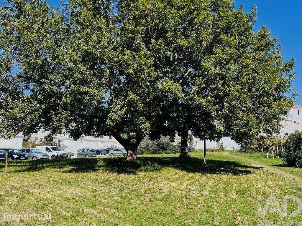 Apartamento T1 em Albufeira e Olhos de Água - Grande imagem: 3/23