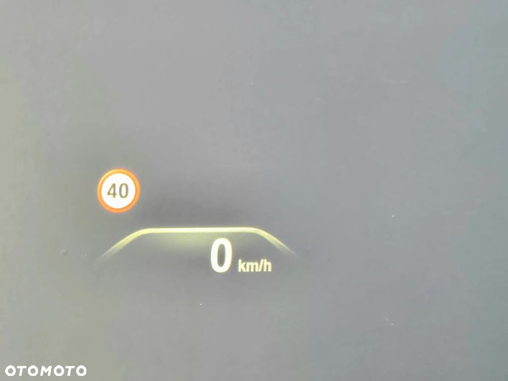 BMW Seria 5 530i - 24