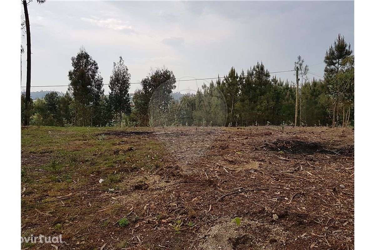 Terreno  para venda - Grande imagem: 3/6