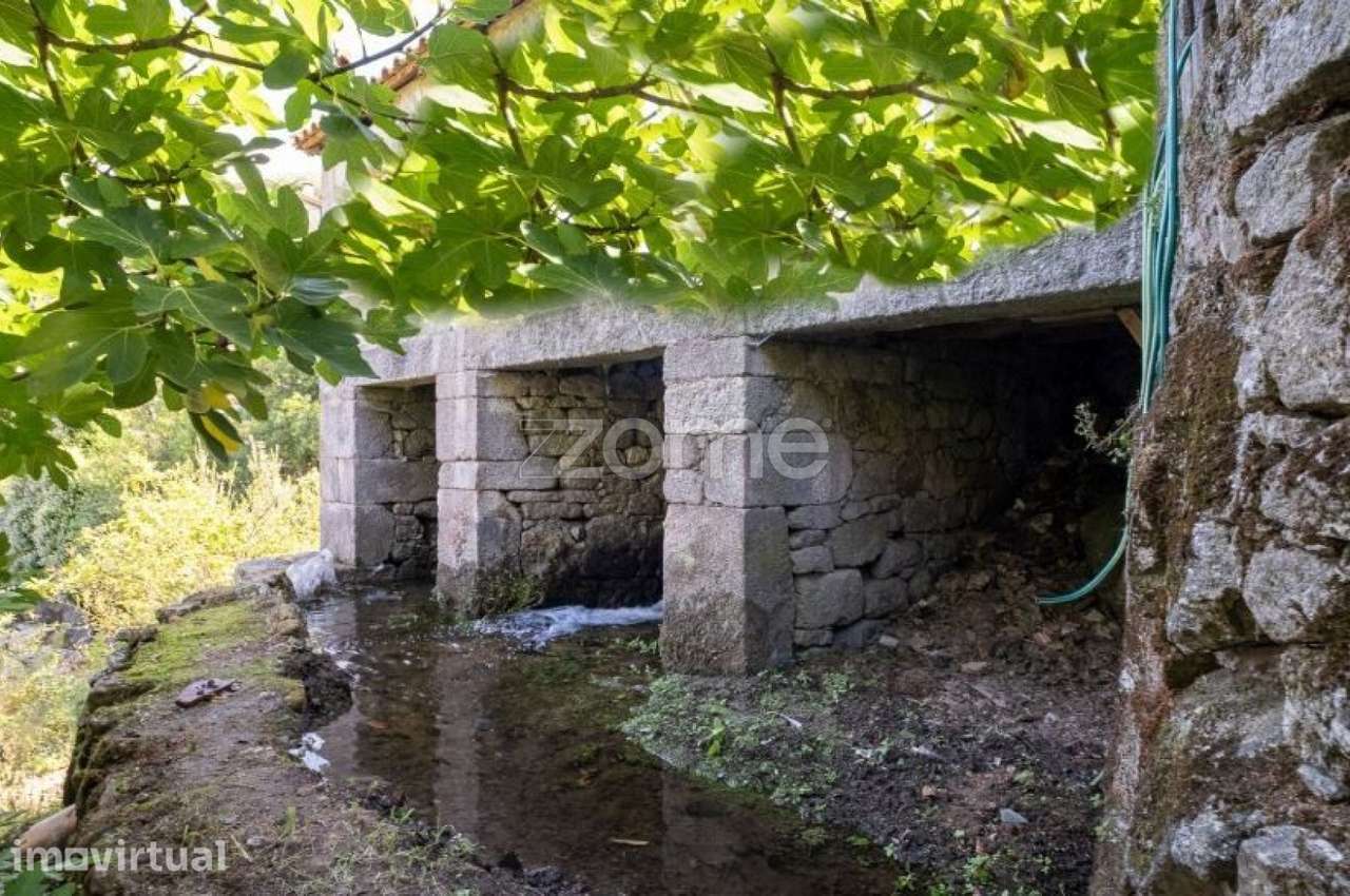 Casa de Habitação + 3 Moinhos de Água - Centro de Lamego - Grande imagem: 5/19