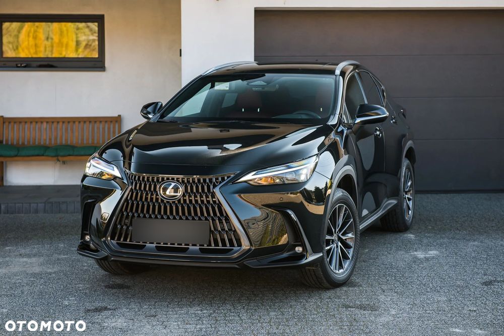 Lexus NX - 2