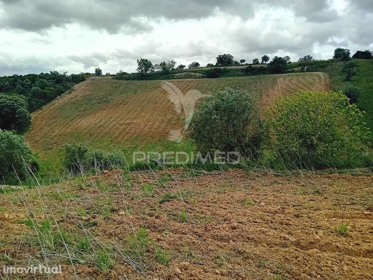 Terreno Rústico Pernes - Grande imagem: 5/7