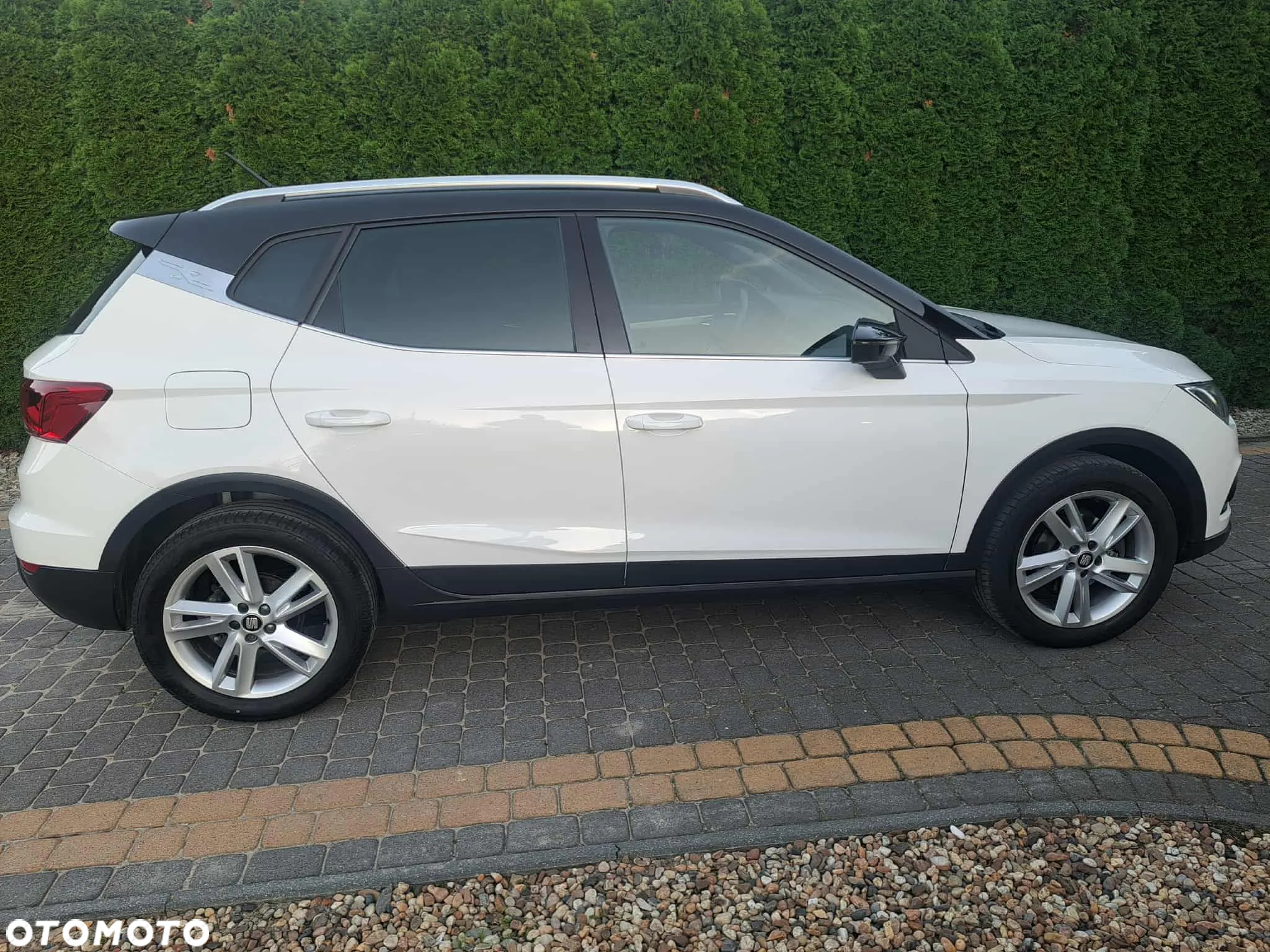 Seat Arona 1.0 TSI GPF FR S&S DSG - 2