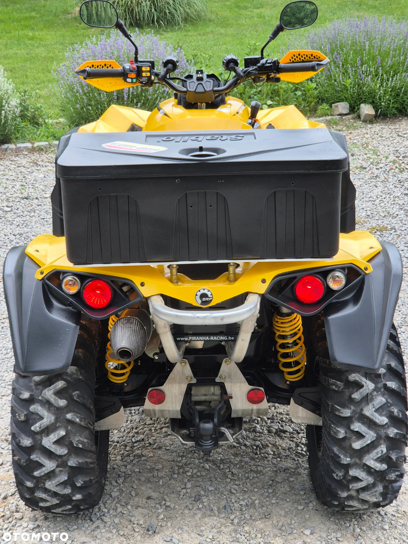 Can-Am Renegade - 6