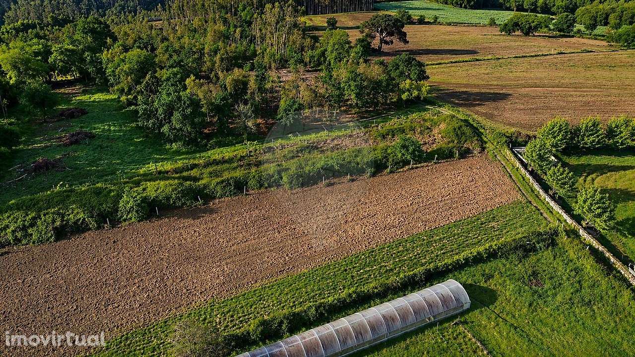 Terreno  para venda - Grande imagem: 5/10