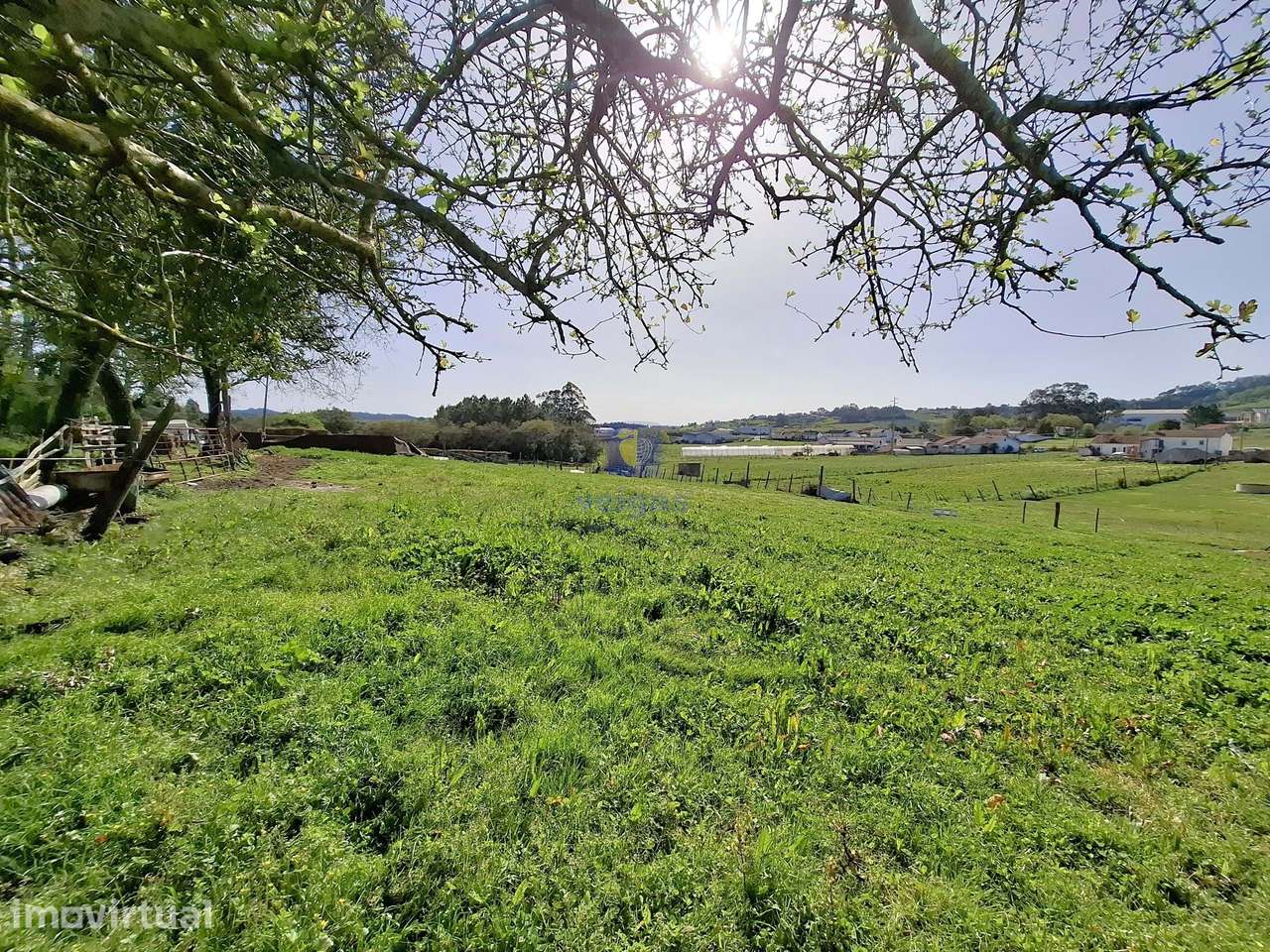 Terreno urbano com 15.867 m2 em Cela, Alcobaça,  e ruína de 336,30 m2 - Grande imagem: 5/27