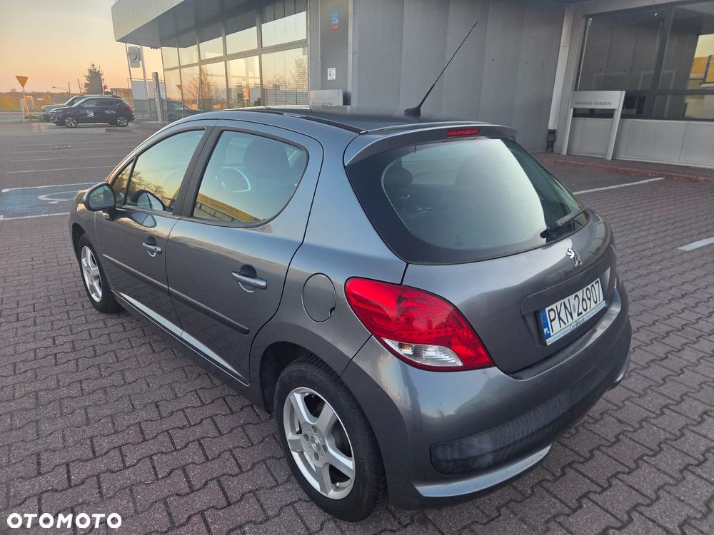 Peugeot 207 - 5