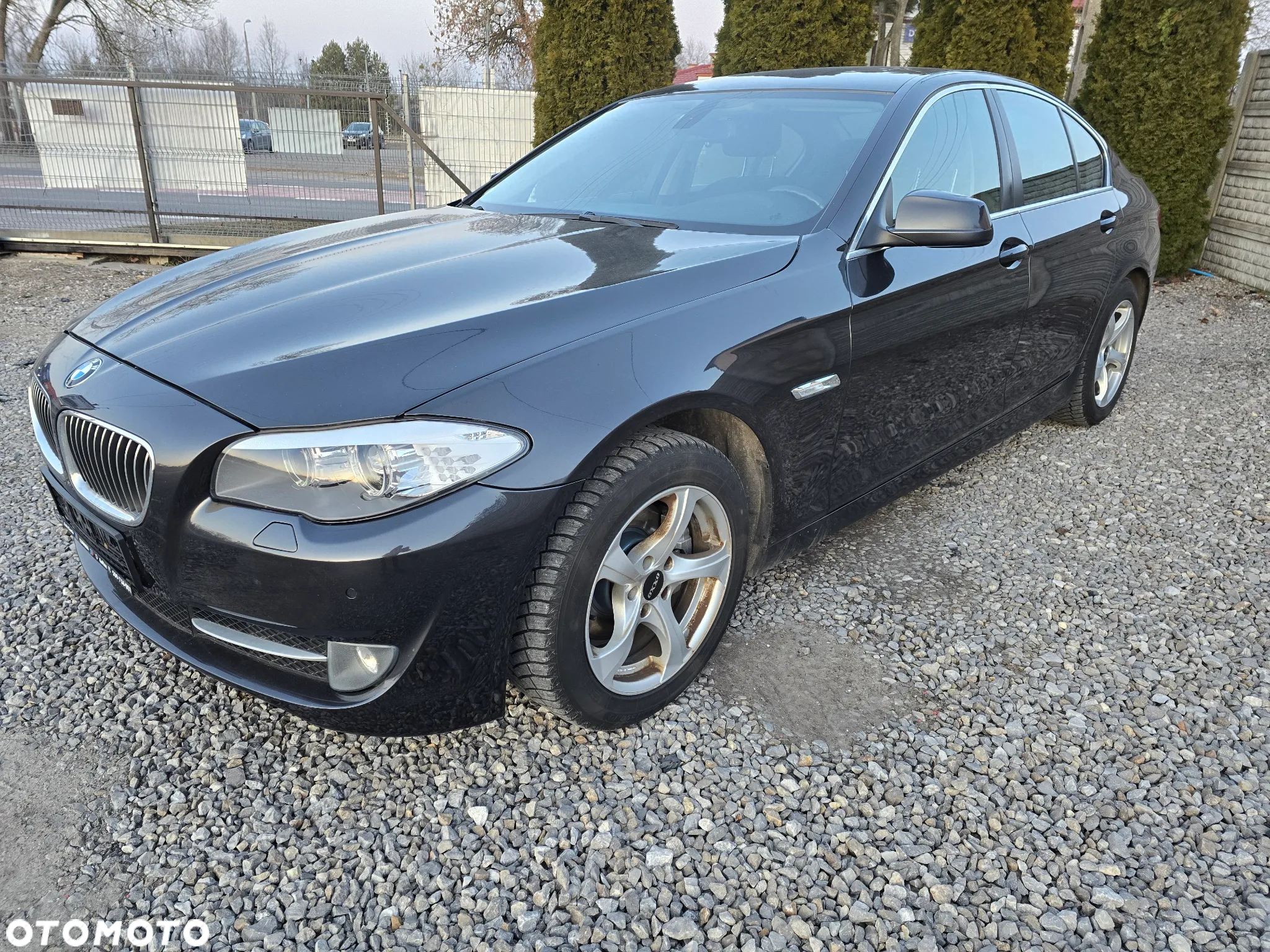 BMW Seria 5 - 8