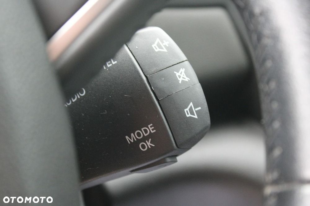 Renault Megane - 20