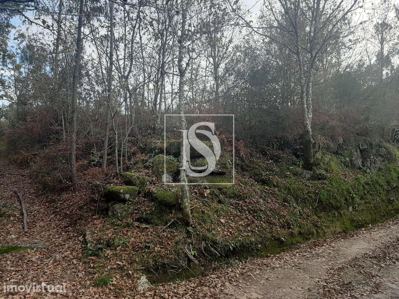 Terreno  Venda em Vieira do Minho,Vieira do Minho - Grande imagem: 2/15