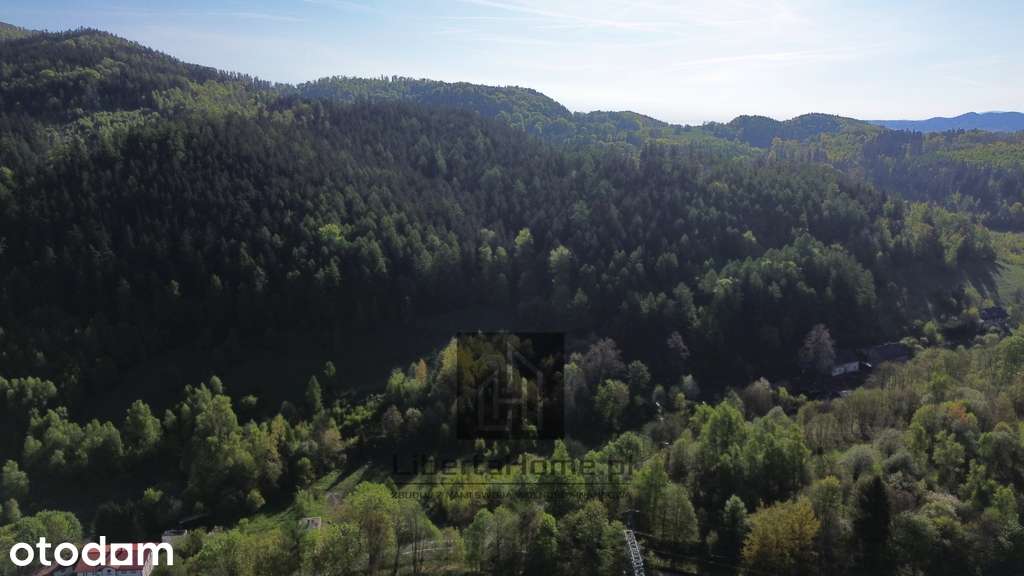 Leśne Zacisze | 2 575 m² | tylko 80 zł/m²! - Pełny obrazek: 5/8