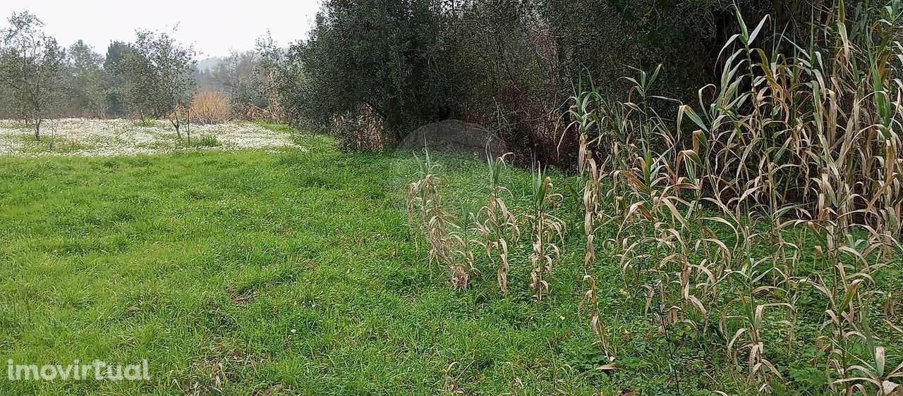 Terreno  para venda - Grande imagem: 2/4