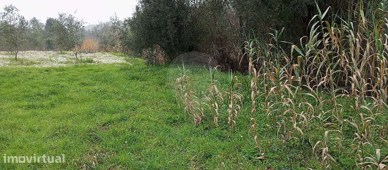 Terreno  para venda - Grande imagem: 2/4