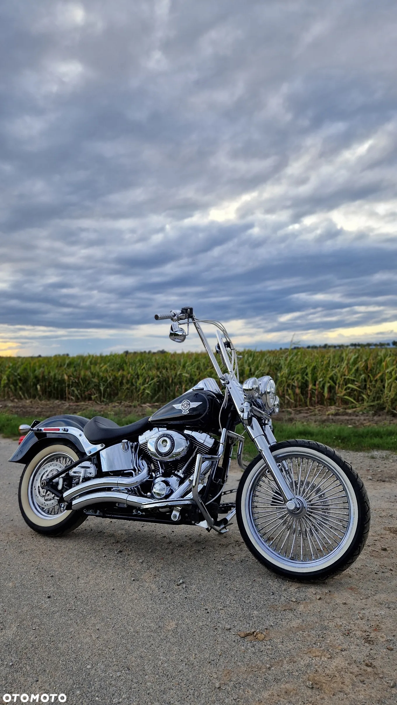 Harley-Davidson Softail Fat Boy - 6