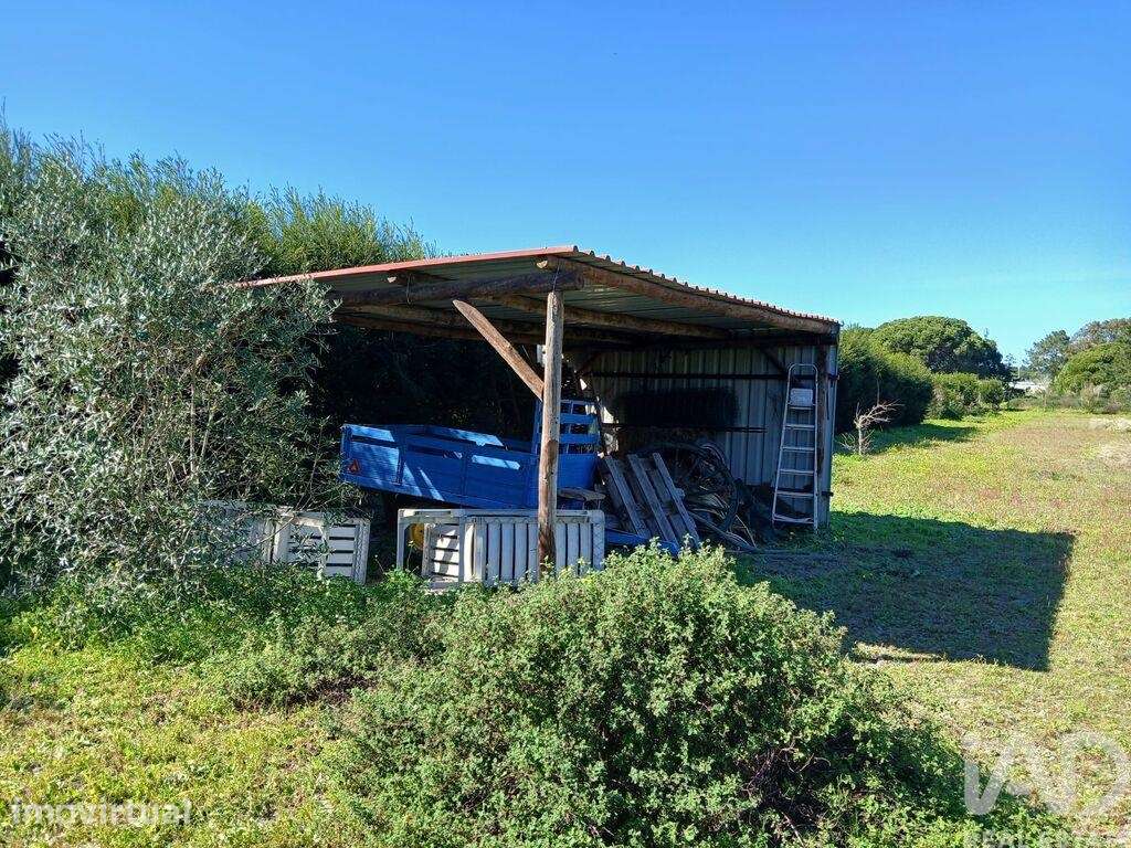 Terreno Agrícola em Vila Nova de Milfontes - Grande imagem: 4/11