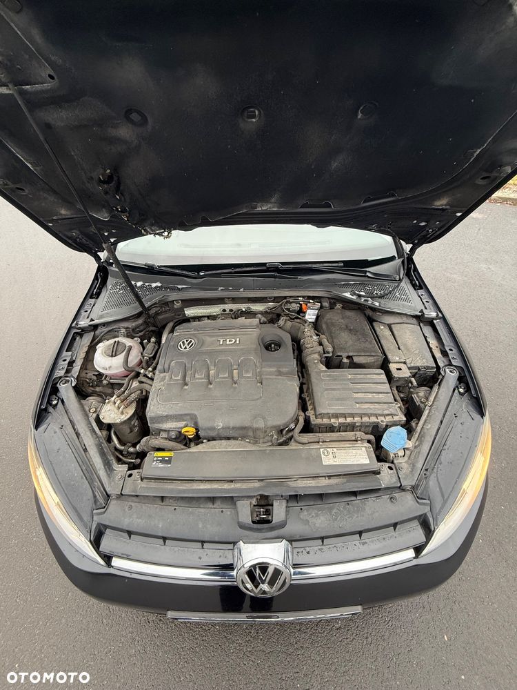 Volkswagen Golf - 12