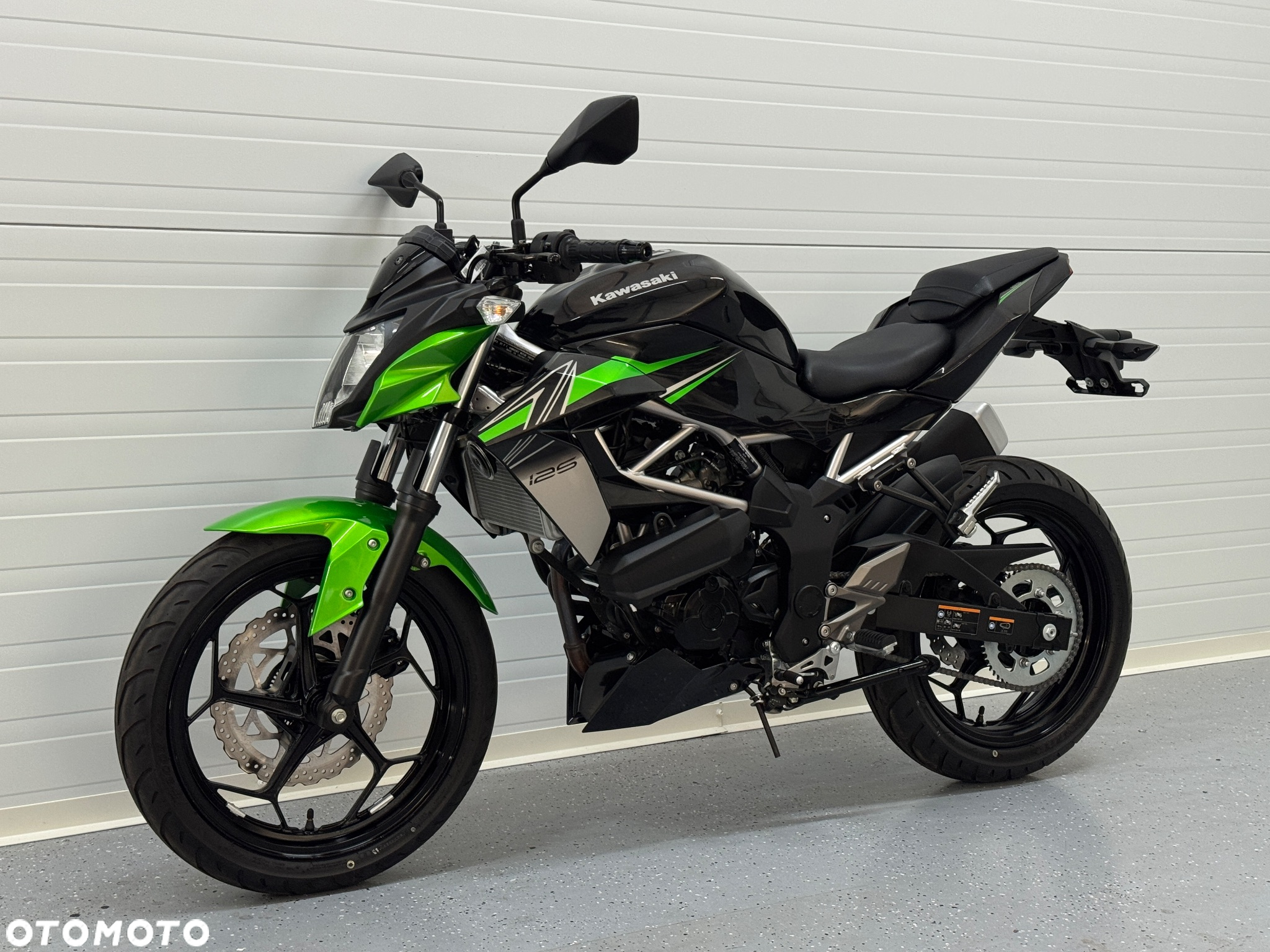 Kawasaki Z - 10
