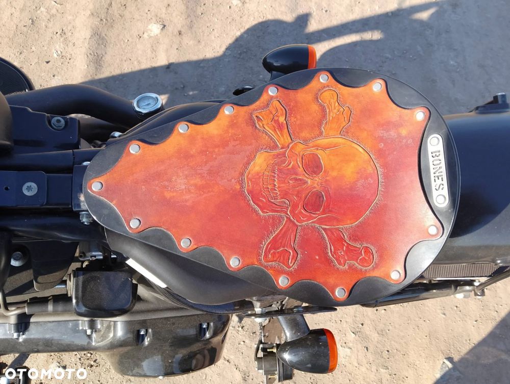 Harley-Davidson Softail Cross Bones - 4