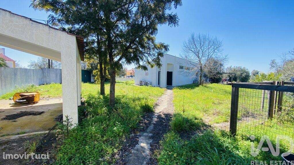 Quinta rural T3 em Galveias de 114 m2 - Grande imagem: 3/40