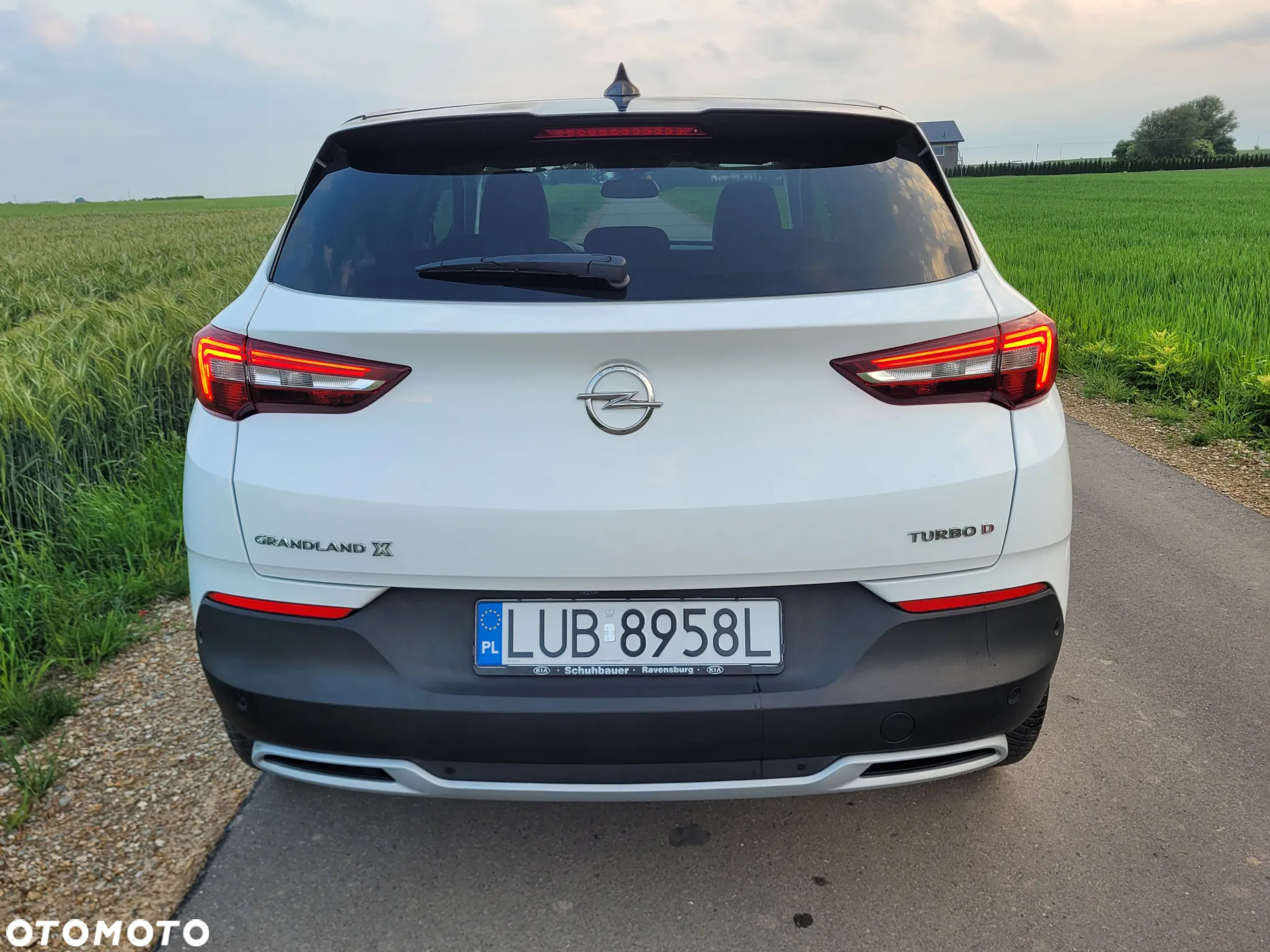 Opel Grandland X 2.0 D Start/Stop Automatik Ultimate - 7