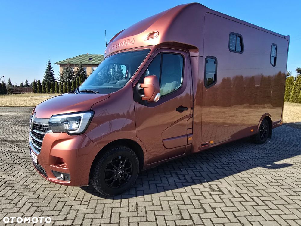Renault Master Koniowóz - 7