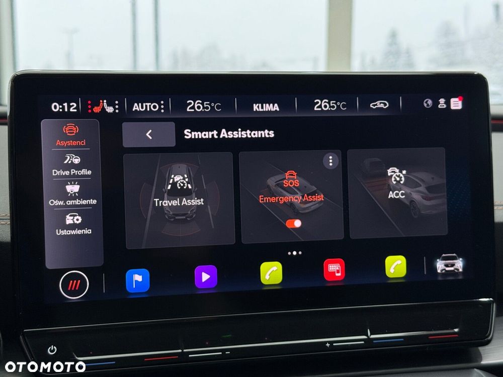 Cupra Formentor 2.0 TSI 4Drive DSG - 32