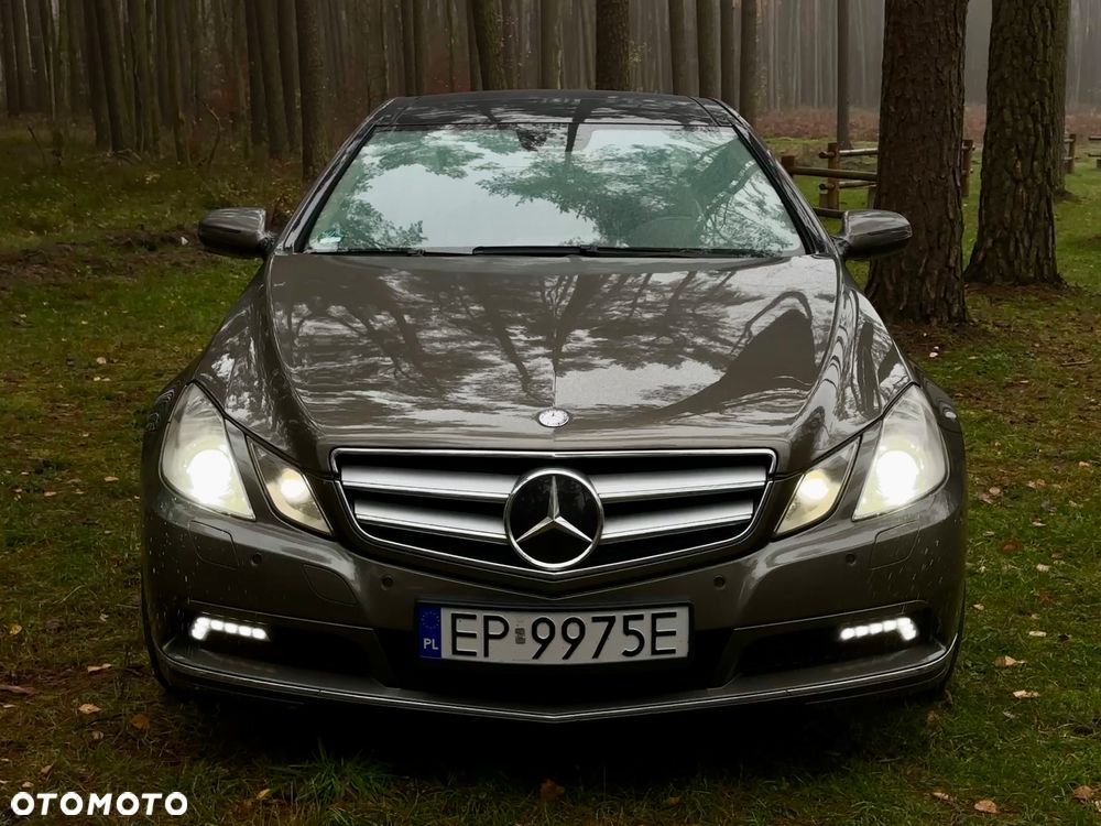 Mercedes-Benz Klasa E 500 7G-TRONIC Avantgarde - 16